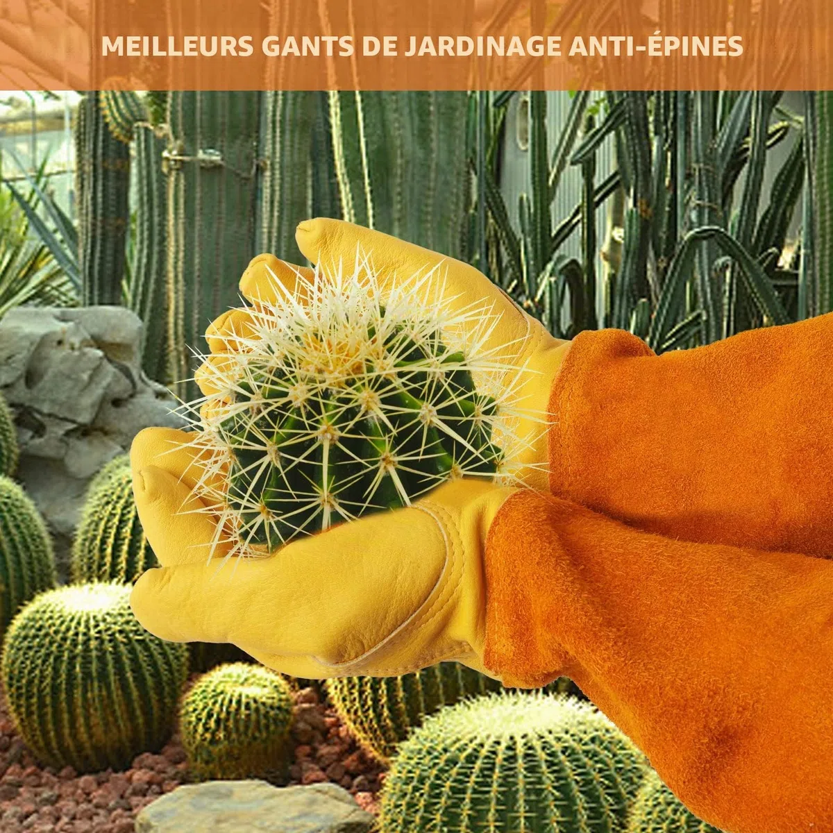 Gants de Jardinage pour Hommes/Femmes, Gants de Travail en Cuir de Vache Durables, Résistant aux épines - avec Protection des Avant-Bras pour Jardinier et Fermier, Épaississement Jaune,M